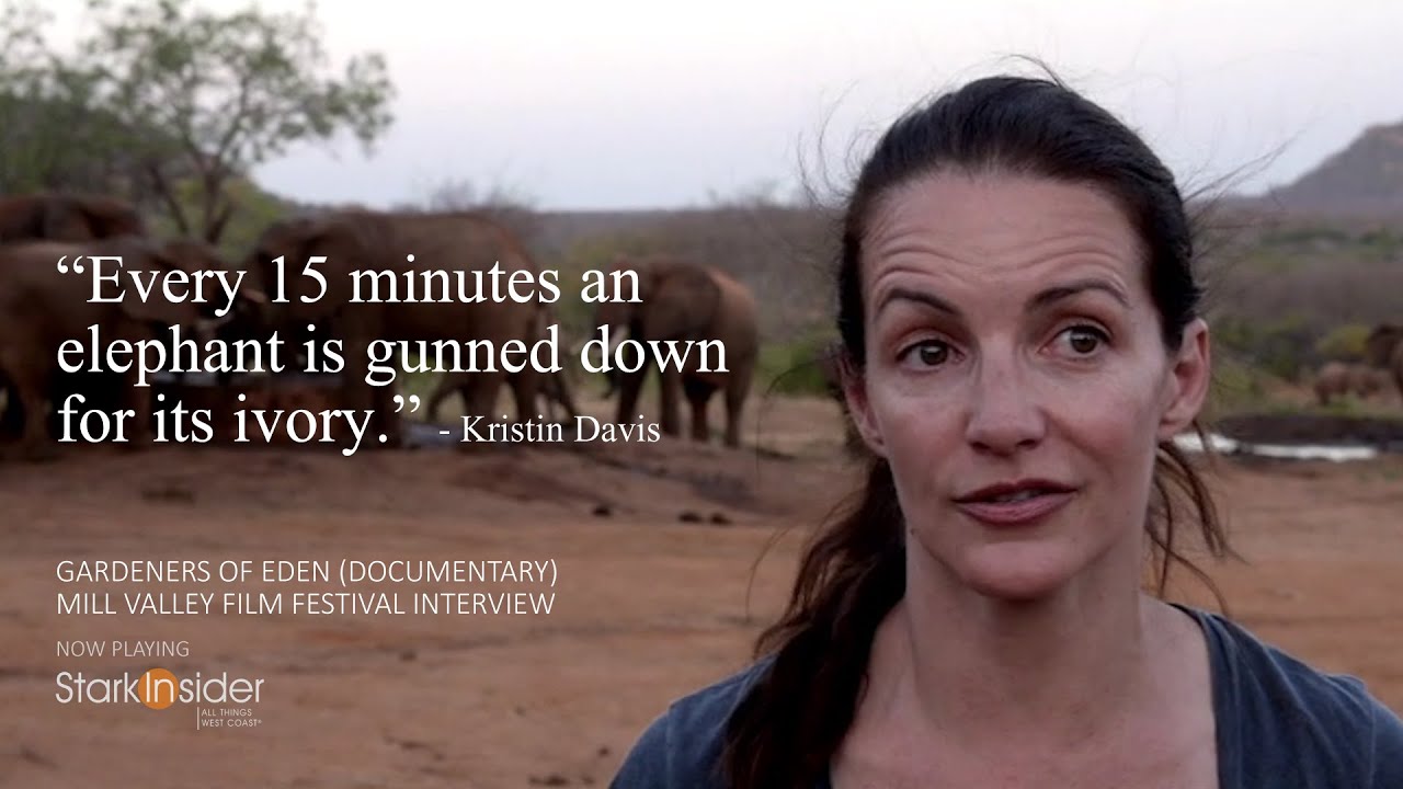 Kristin Davis on Elephant Poaching Crisis - Mill Valley Film Festival