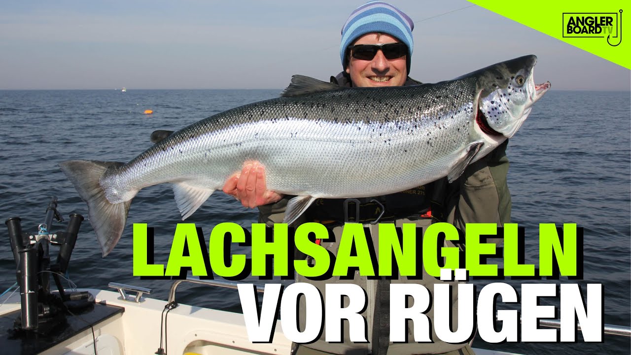 RUTE&ROLLE-Classics | Lachs-Trolling vor Rügen | ANGLERBOARD TV