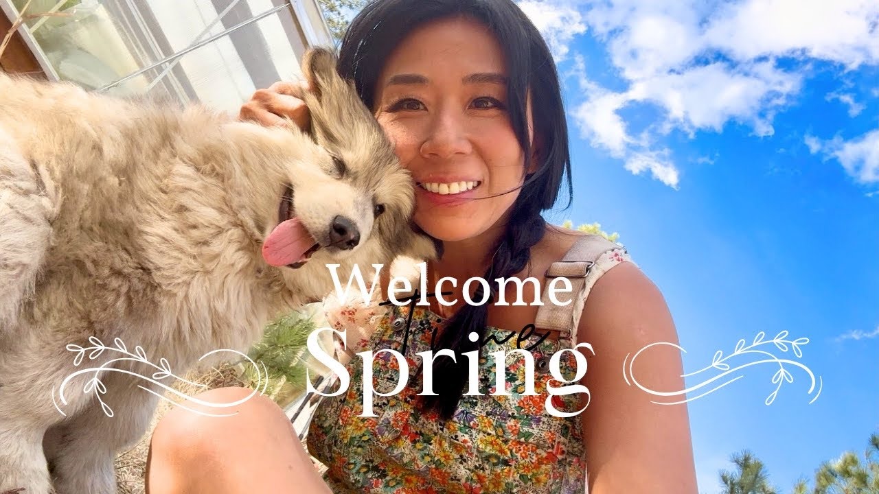 和我一起來打造春天的花園🌱🌼