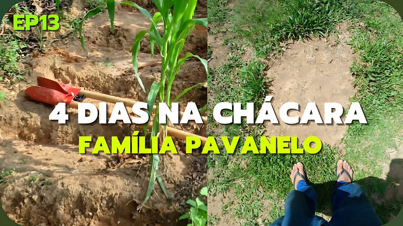 O QUE FAZER em QUATRO DIAS na CHÁCARA? Família Pavanelo