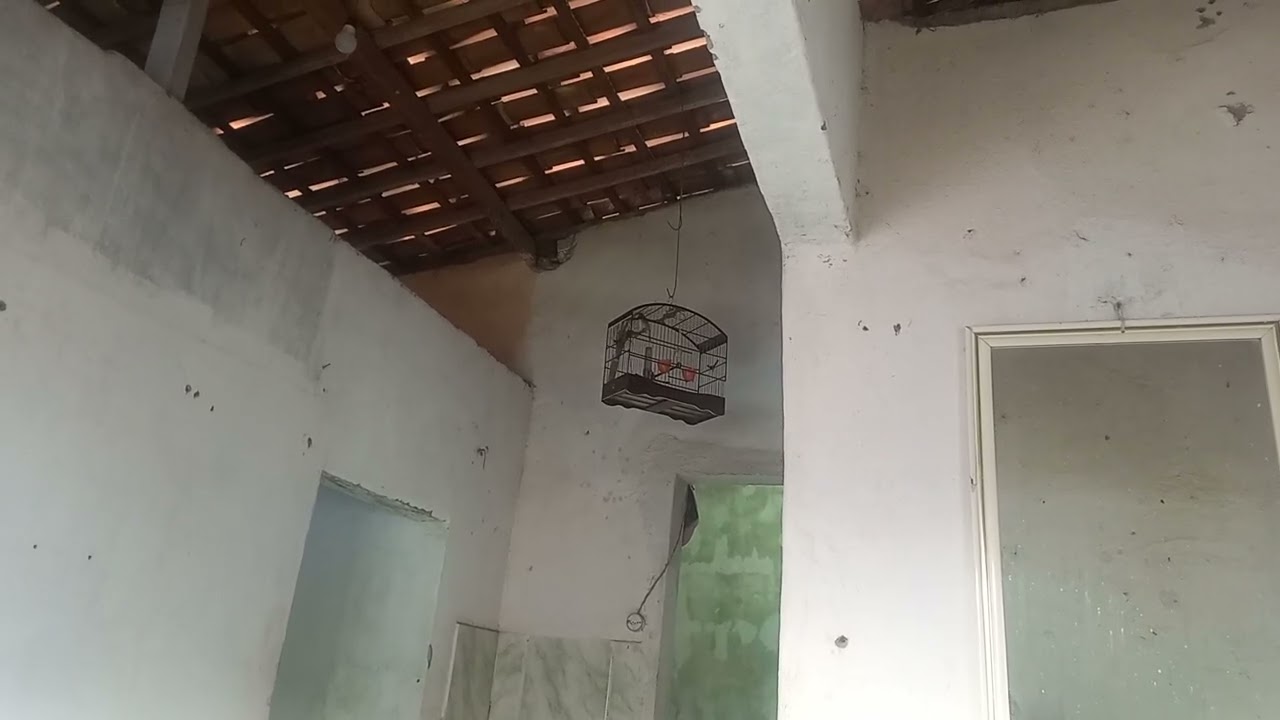 23 de fevereiro de 2026