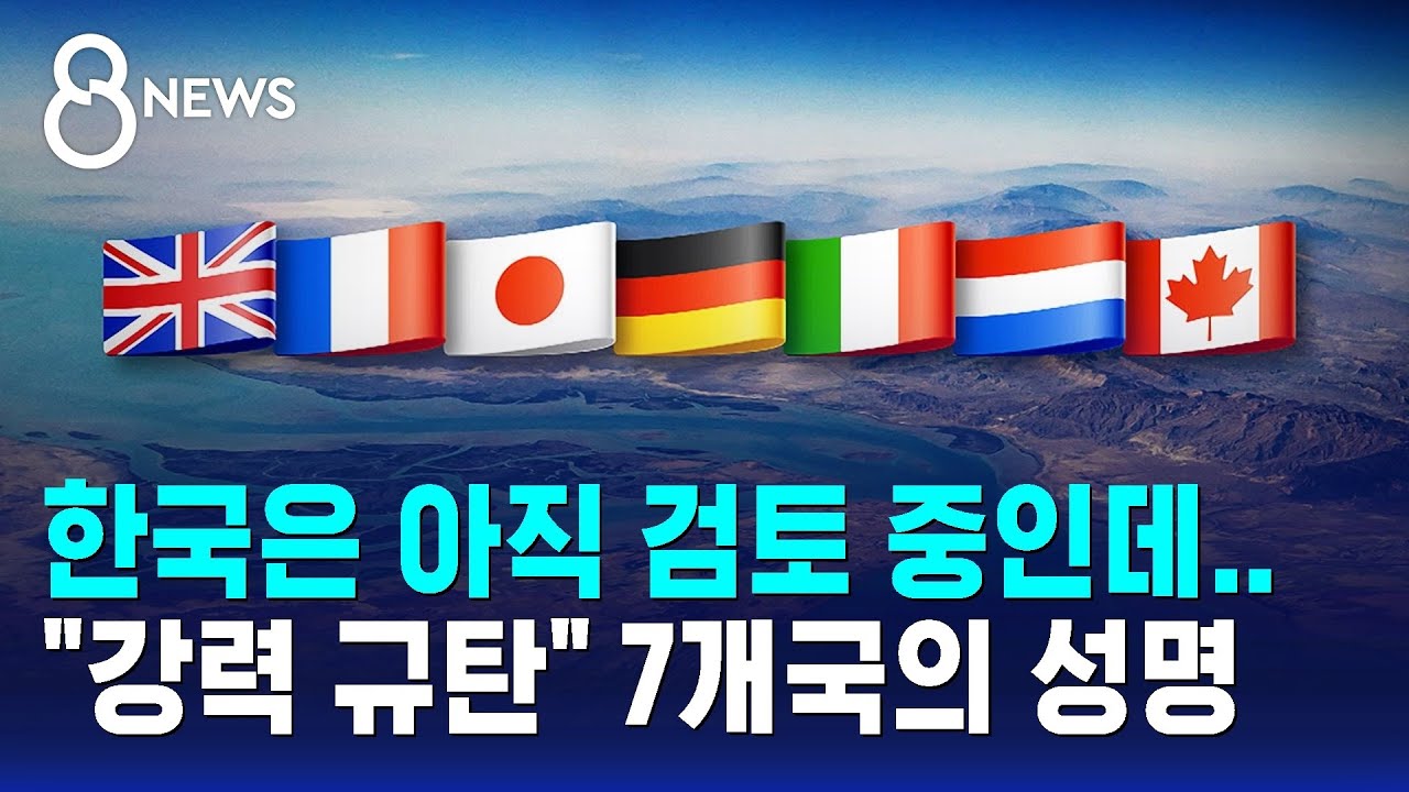 한국은 아직 검토 중인데…