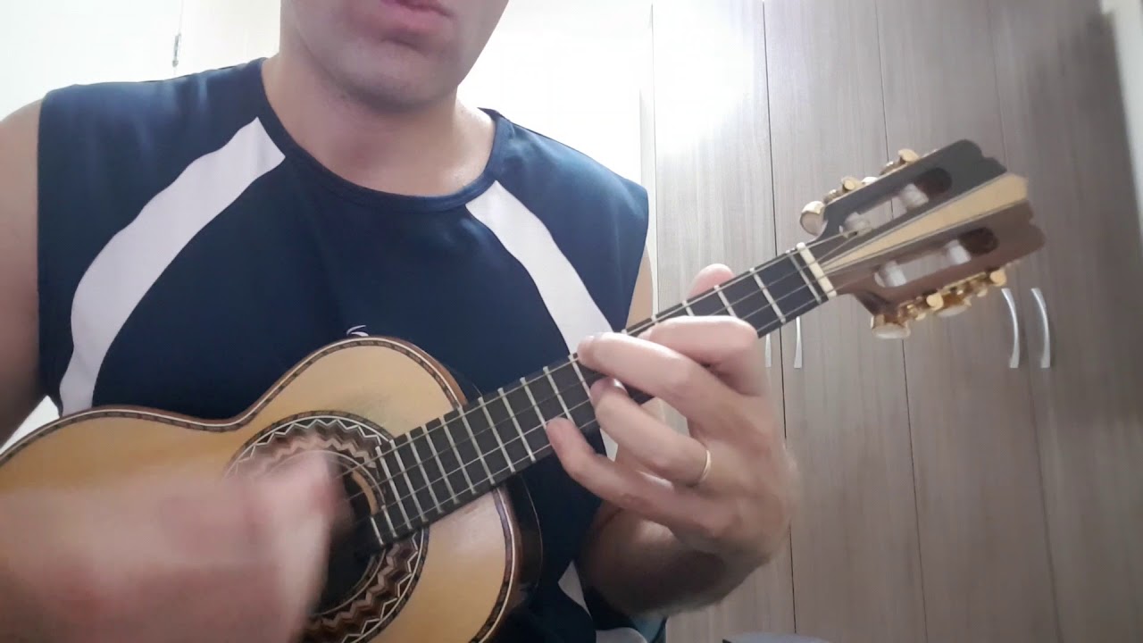 Cavaco - Por querer, sem querer  (Zeca Pagodinho)