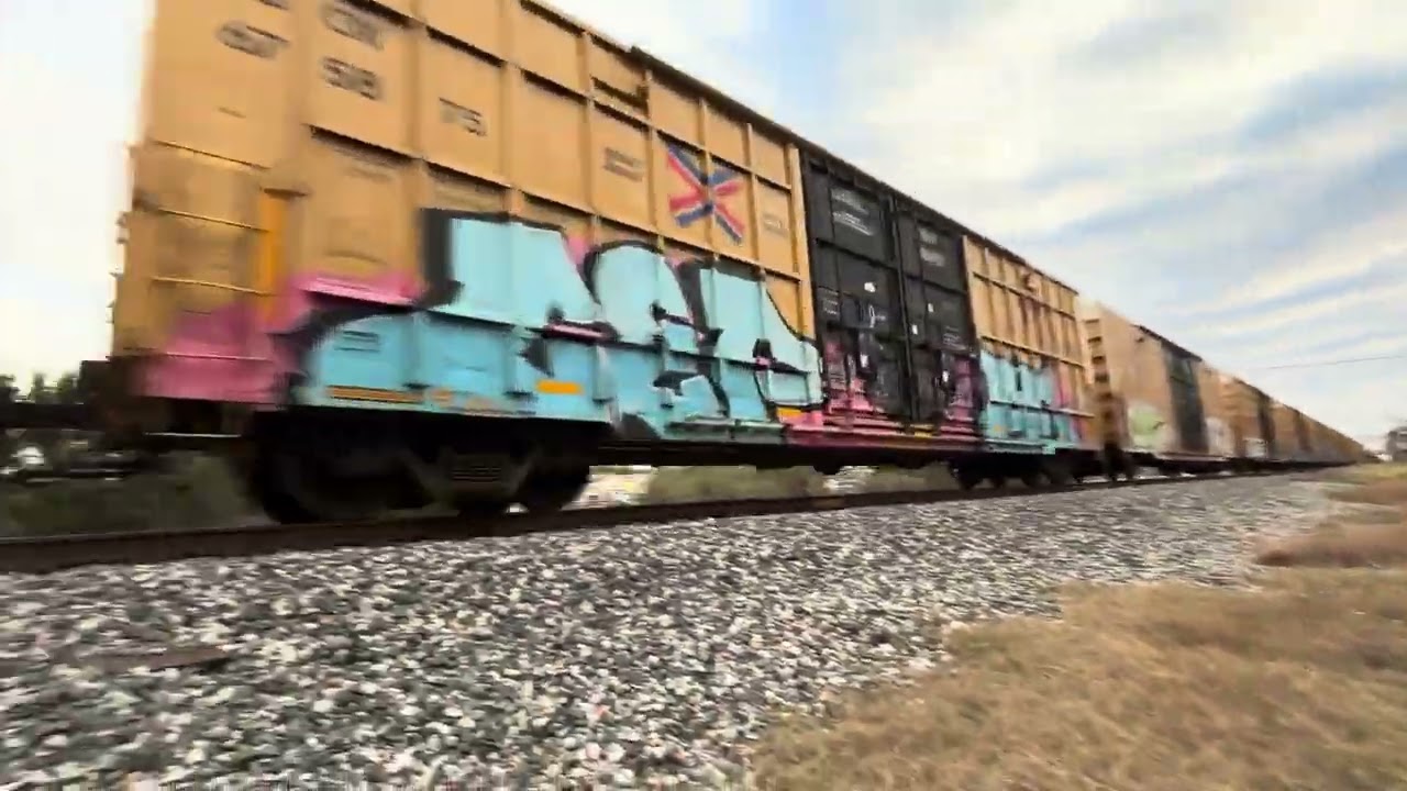 Northbound Union Pacific mix freight passing CP bergstrom 