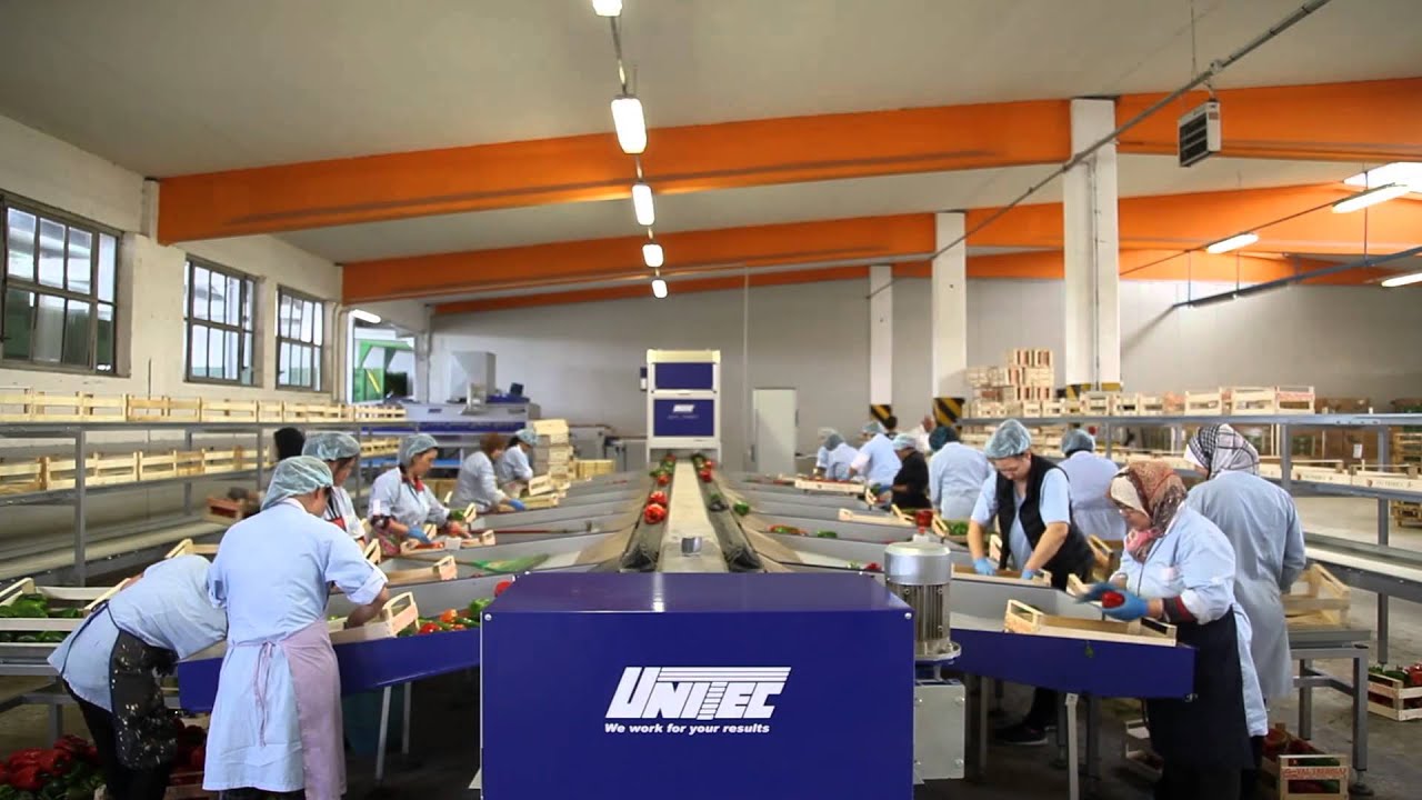 Linea di lavorazione completa per Peperoni