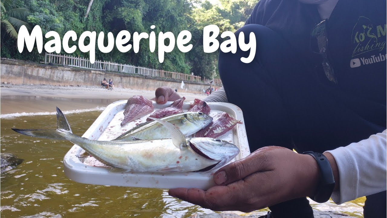 EVERYBODY SHOULD TRY THIS! Catch & Cook Off The Rocks! Macqueripe Bay, Trinidad & Tobago - Caribbean