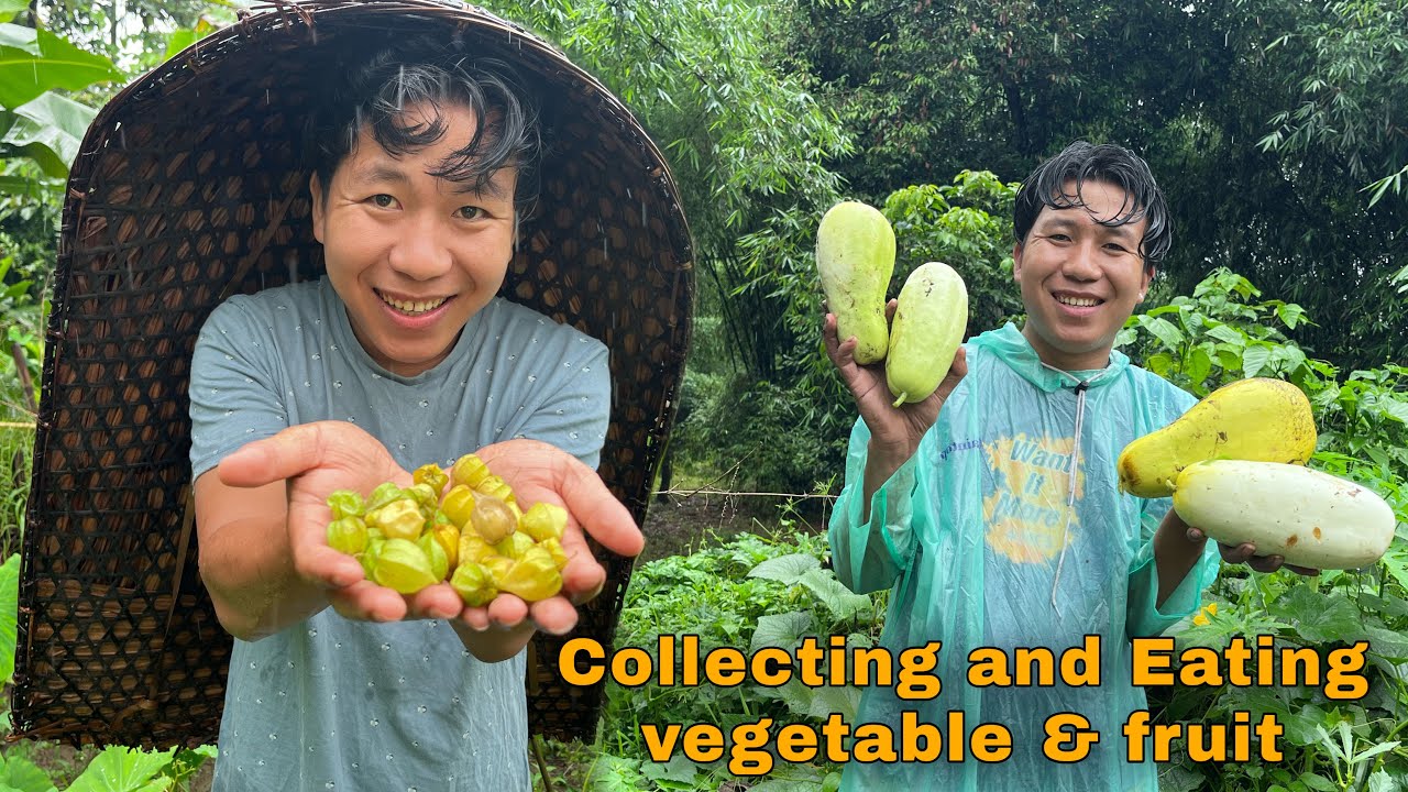 Collecting and eating vegetables & fruits | village | Arunachal Pradesh | Jameslibangvlog |