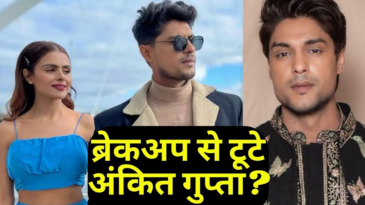 Priyanka Chahar Chaudhry संग ब्रेकअप से टूटे Ankit Gupta? शो छोड़ बोले- 'मुझे अपने लिए वक्त....