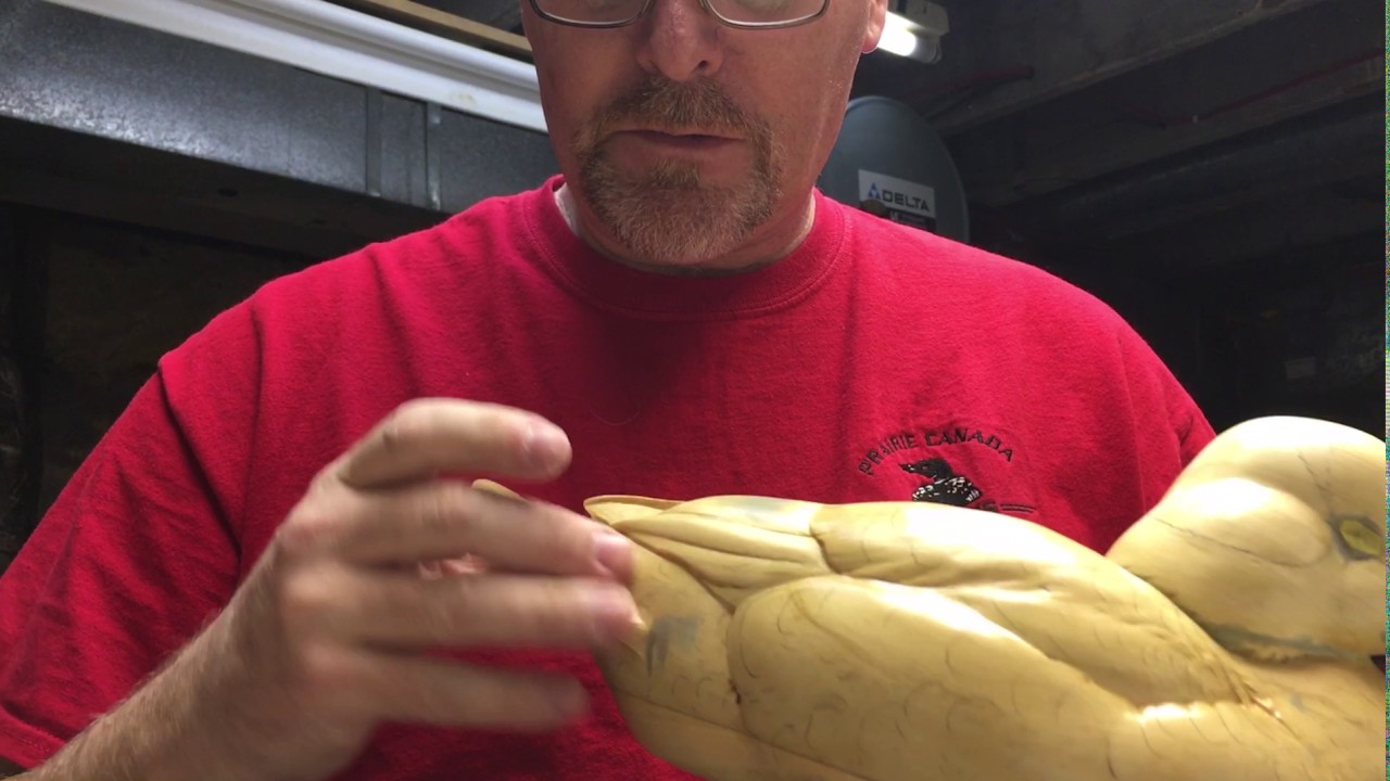 Stippling A Gunning Decoy