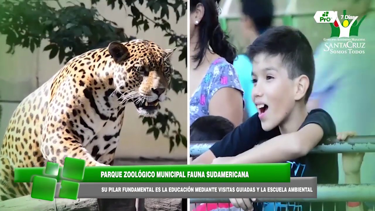DOCUMENTAL COMPLETO DEL ZOOLÓGICO MUNICIPAL DE FAUNA SUDAMERICANA DE SANTA CRUZ DE LA SIERRA