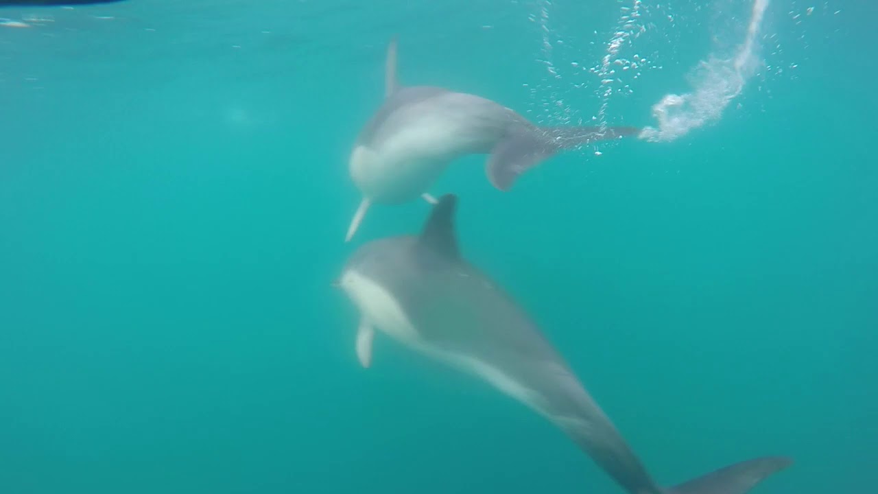 Azoren - Cherbourg - Middelburg. Palatina - laatste episode - juli 2020