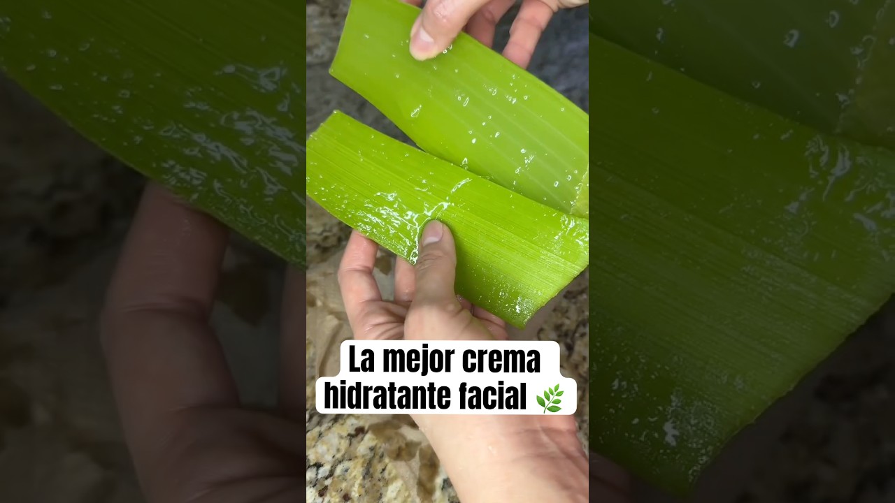 La mejor crema hidratante natural 🌿 🌱 