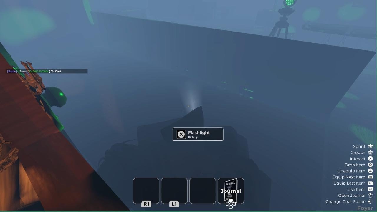 Roblox_20260120165704