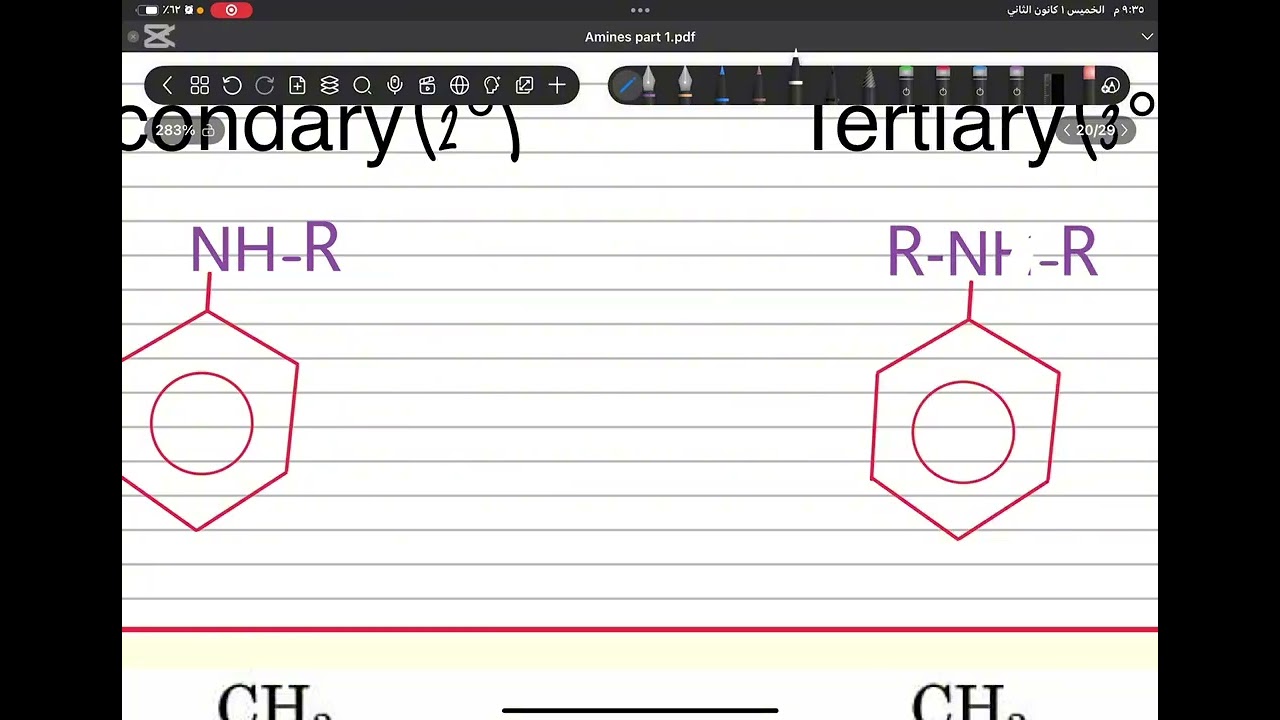 عضوية محاضره الرابعة جزء الأول/ الأمينات 