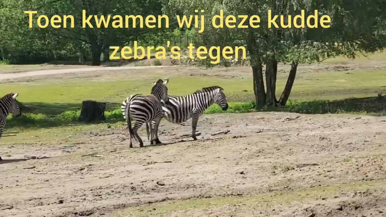 3 dagen Beekse Bergen