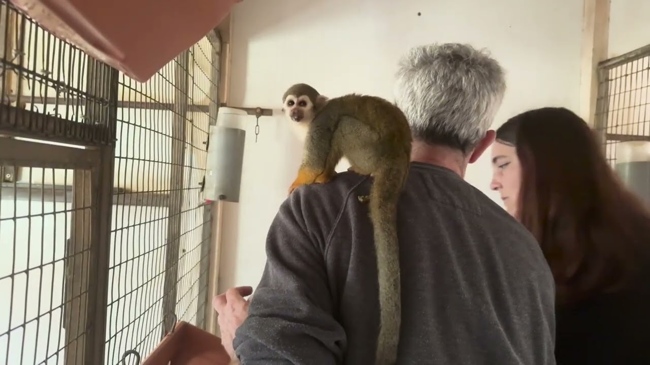 Surveillance des zoos pour le bien-être et la protection animale (DDPP83)