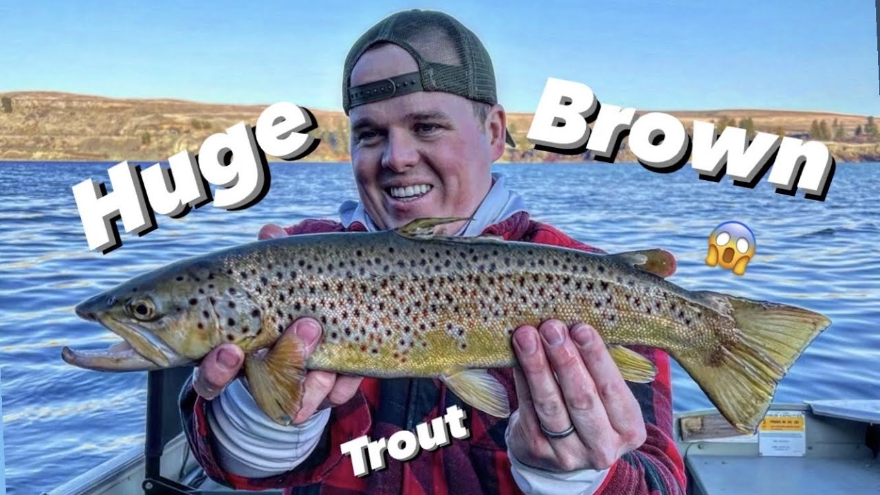 Fishing Rock Lake - Brown Trout