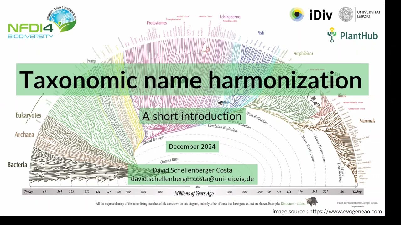 Taxonomic name harmonization
