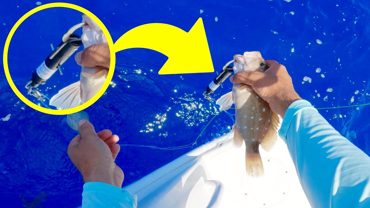 DEEP DROP FISHING 101 & Descending Device Tutorial
