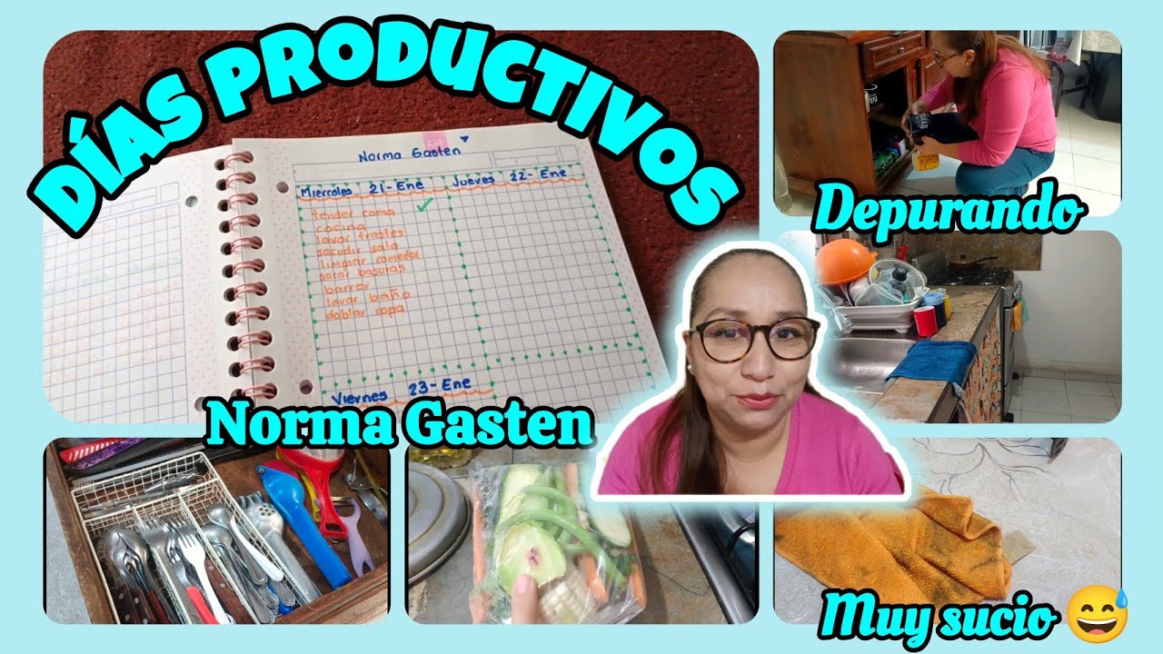 ✅DIAS PRODUCTIVOS ☺️ Depurando y Limpiando 😌 #normagasten 