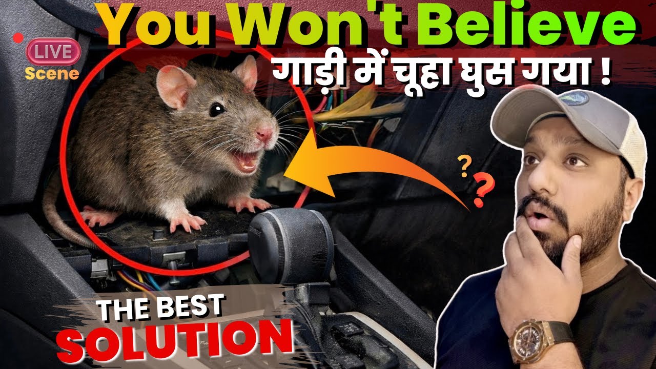 Rat Problem In My Car | ScorpioN में चूहा घुस गया!😑 | 100% Successful Solution | Rat Trap🐀