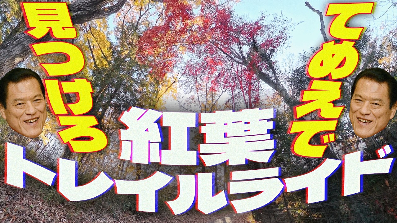 紅葉狩れ！秋の狭山湖トレイルライド【360°動画】