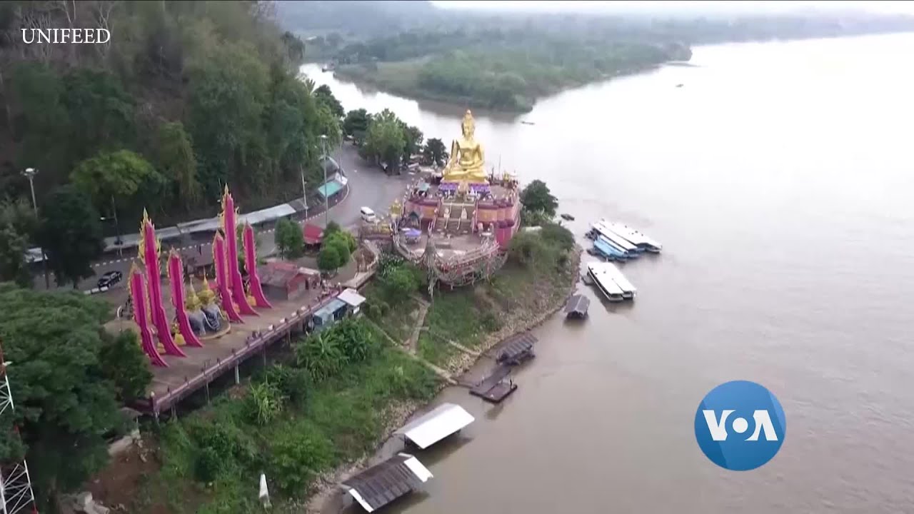 ရွှေတြိဂံ ဒေသ မူးယစ်မှောင်ခိုမှု