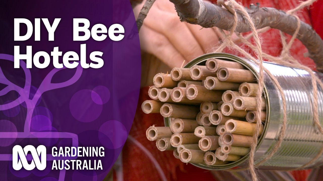 Give native bees a home in your garden with these easy DIY bee hotels | Gardening Australia