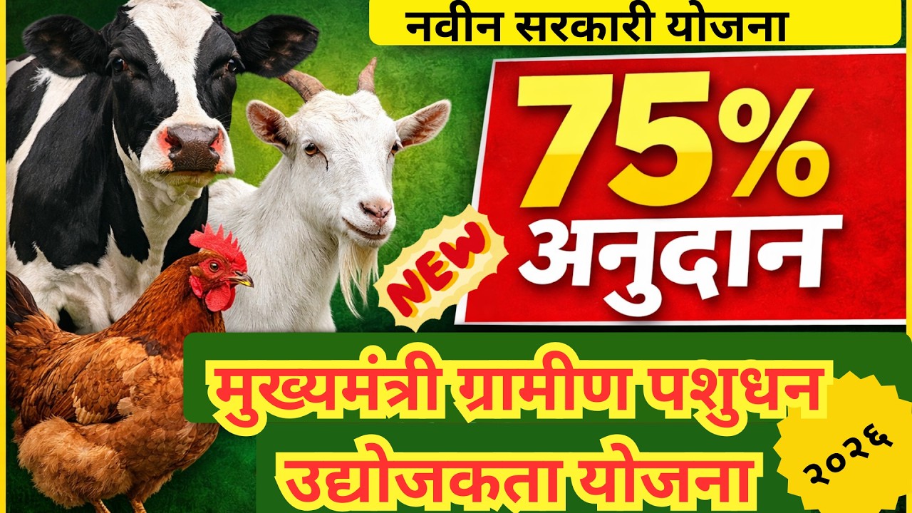 मुख्यमंत्री ग्रामीण पशुधन उद्योजकता योजना | 75% पर्यंत अनुदान | गाय, शेळी, कुक्कुटपालनासाठी मोठी मदत