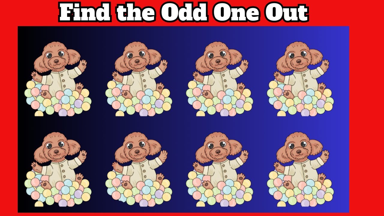 Spot the Odd Cat or Dog Test Your Skills of Observation Game