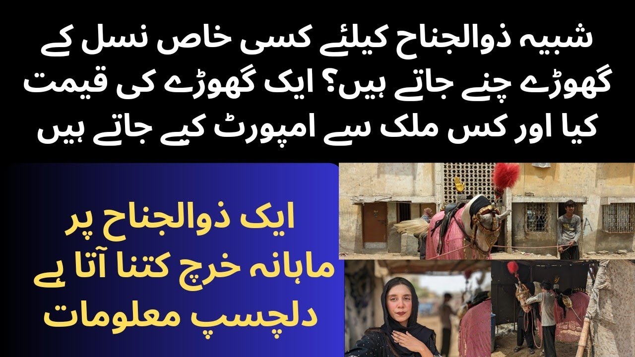 Preparation of shabhi e zuljanah |moharram | zuljinah preparation#zuljinahbadshah #zuljanah