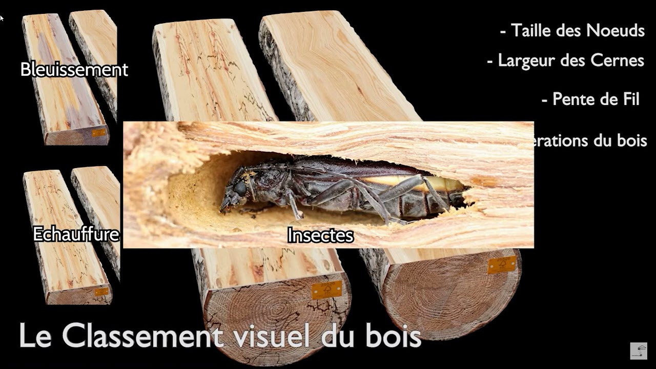 classification des qualités des plateaux