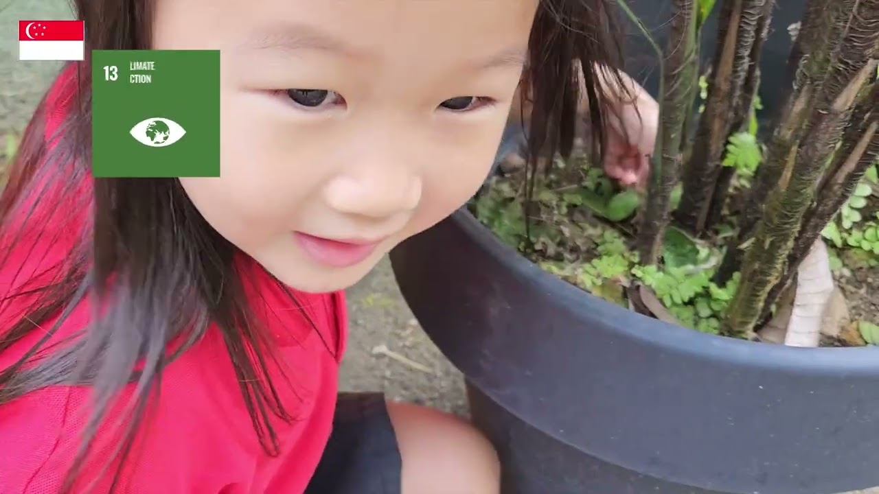 Global Connections - Maple Bear