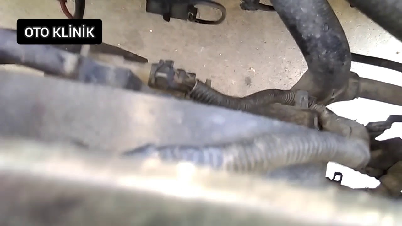 Yazlık Fan Müşürü ve Kışlık Fan Müşürü Arasındaki Fark Nedir , Faydaları Zararları Nelerdir