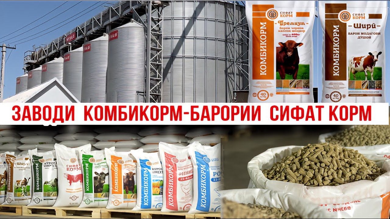 Заводи комбикормбарории СИФАТ КОРМ
