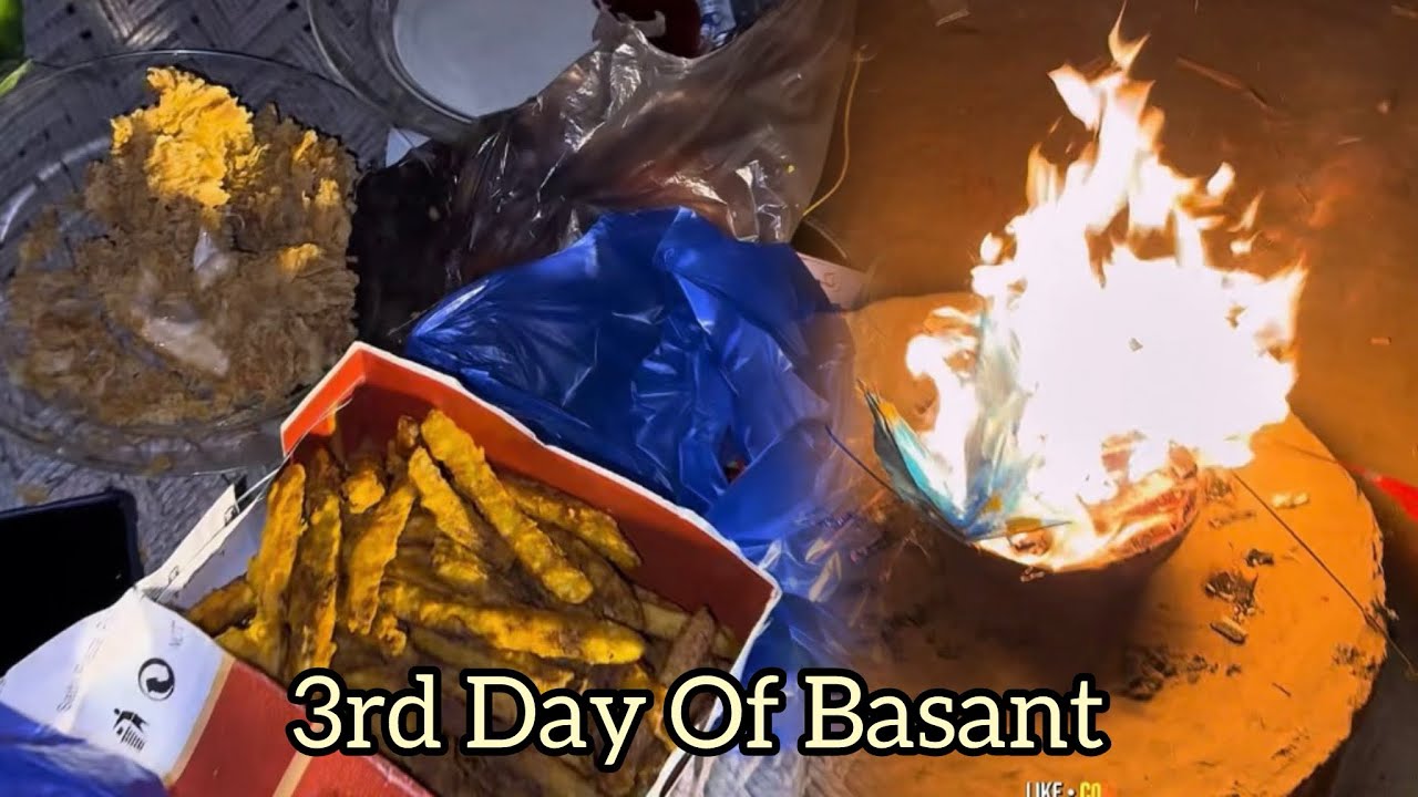 3rd Day Of Basant🪁 | Sab Kuch Jala Diya | Nano Traf Basant Manayi.