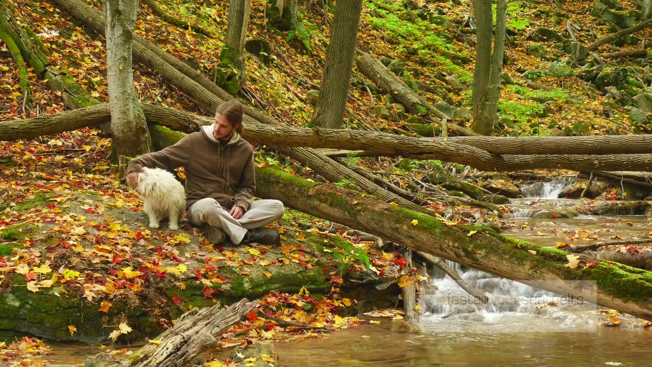 Herbsttour kanadareisen