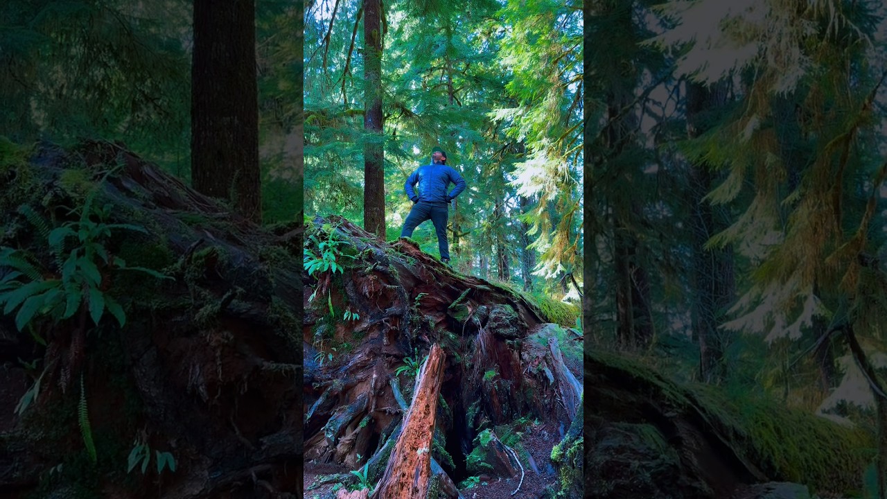 Epic Hike