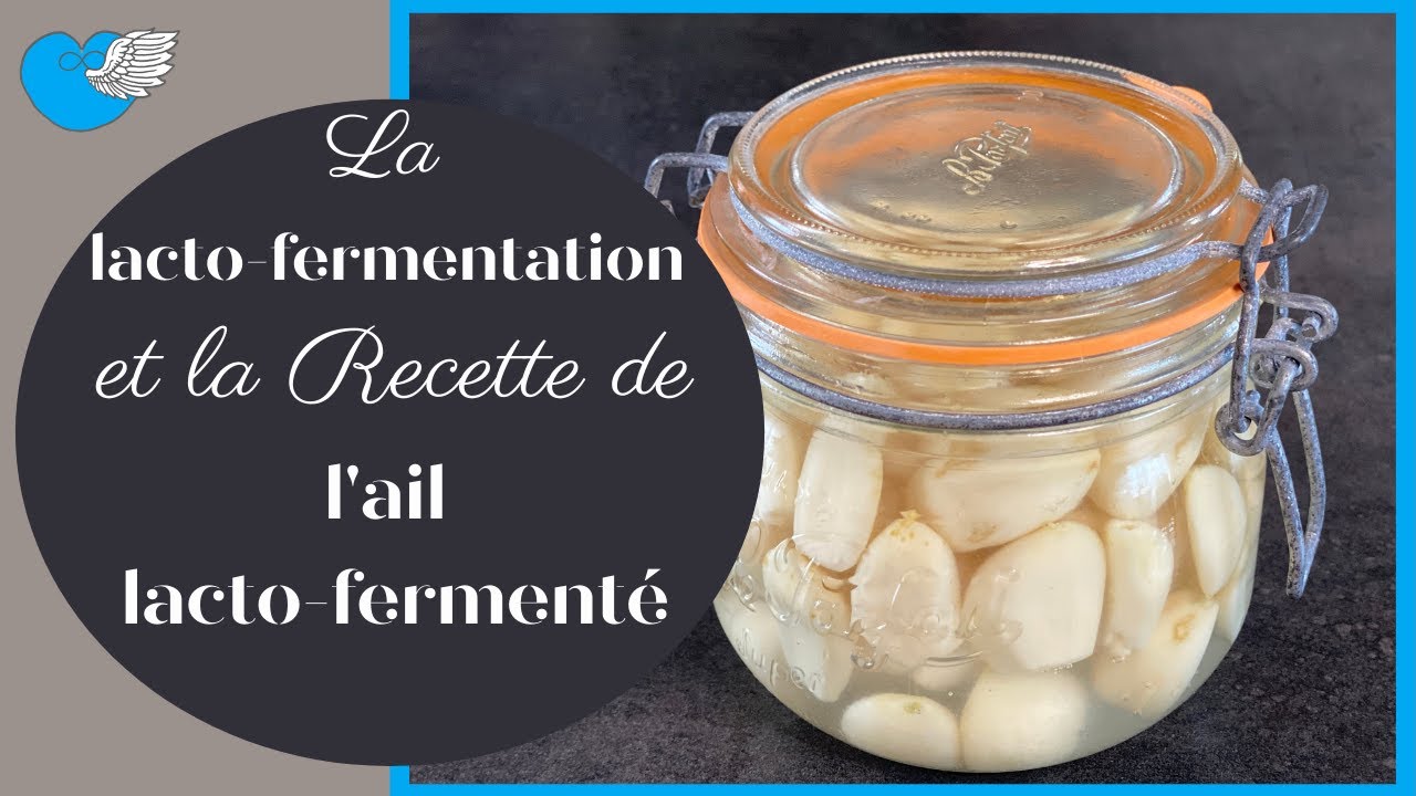 TOUT sur la LACTO-FERMENTATION et la recette de l'AIL LACTO-FERMENTE