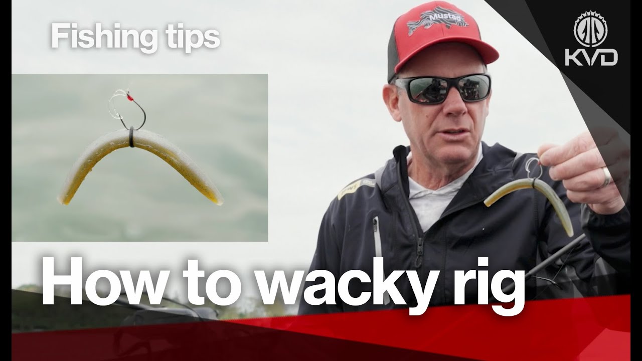 The fishing rig that whacks them every time - Wacky Rig