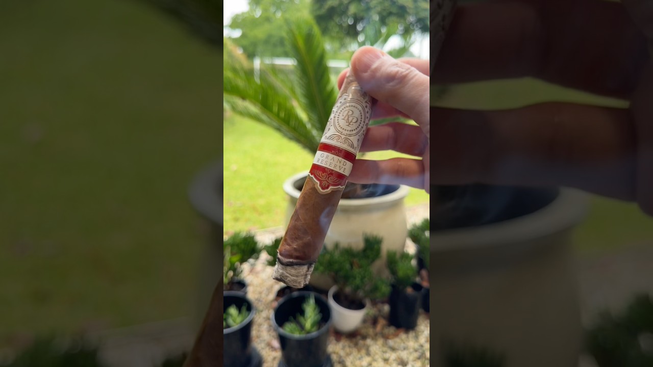 Rocky Patel Grand Reserve Sixty | ASMR Cut & Light