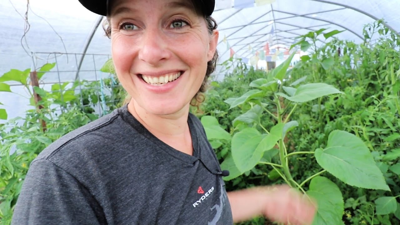 Harvesting Honey, Freeze Dried Herbs | Lovely July Garden Tour