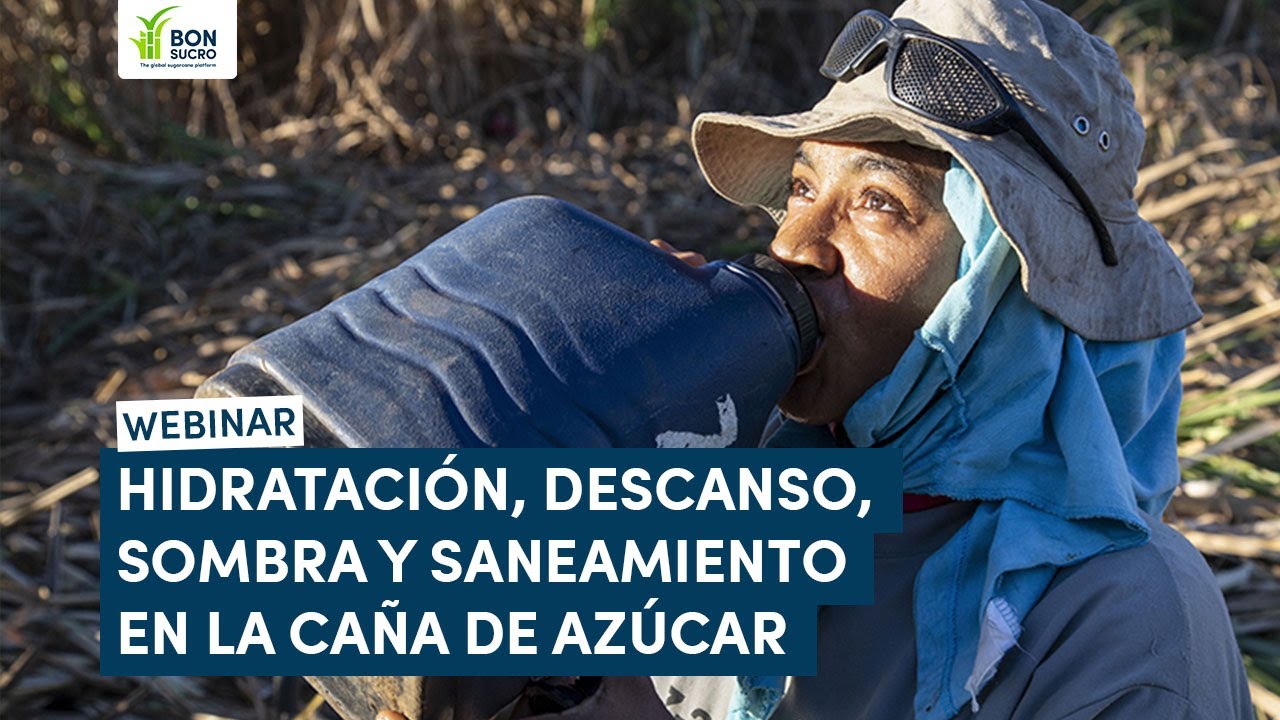 Hidrataci&oacute;n, Descanso, Sombra y Saneamiento: c&oacute;mo prevenir el estr&eacute;s por calor