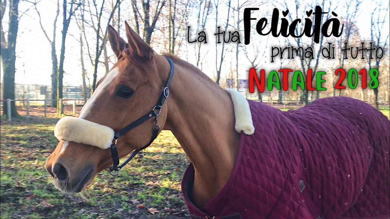 L'ho reso davvero felice | Buon Natale da Domino | Pernilla Iperti