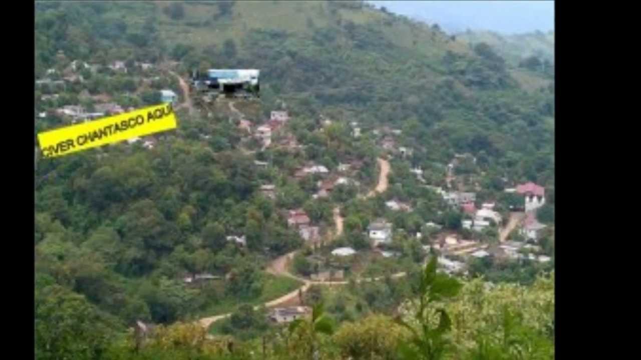 Sueño Americano con Los Nels Musical -chantascolandia.wmv