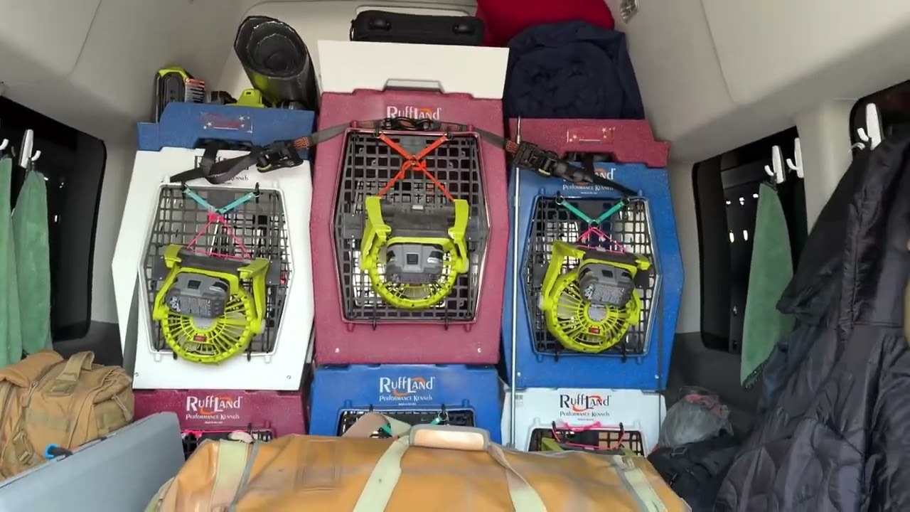 Ford Transit - Dog Vehicle Kennel Setup