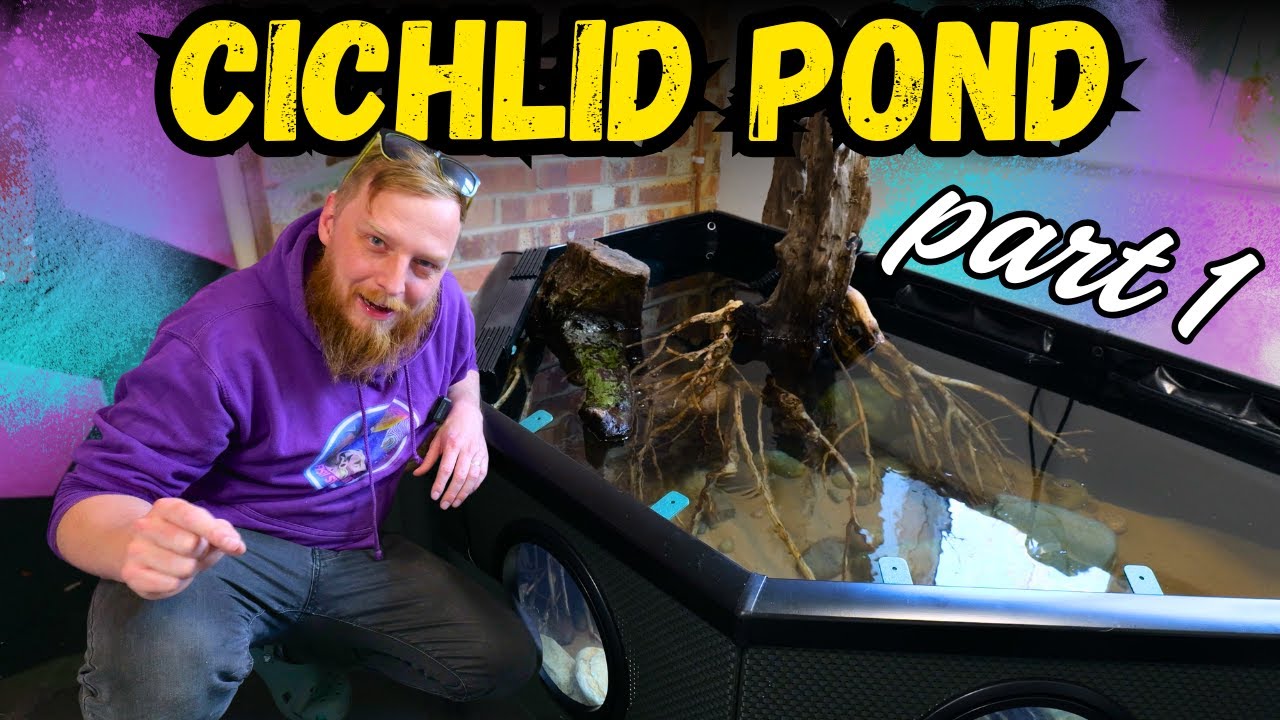 Building a CICHLID jungle POND in my garage! Part 1
