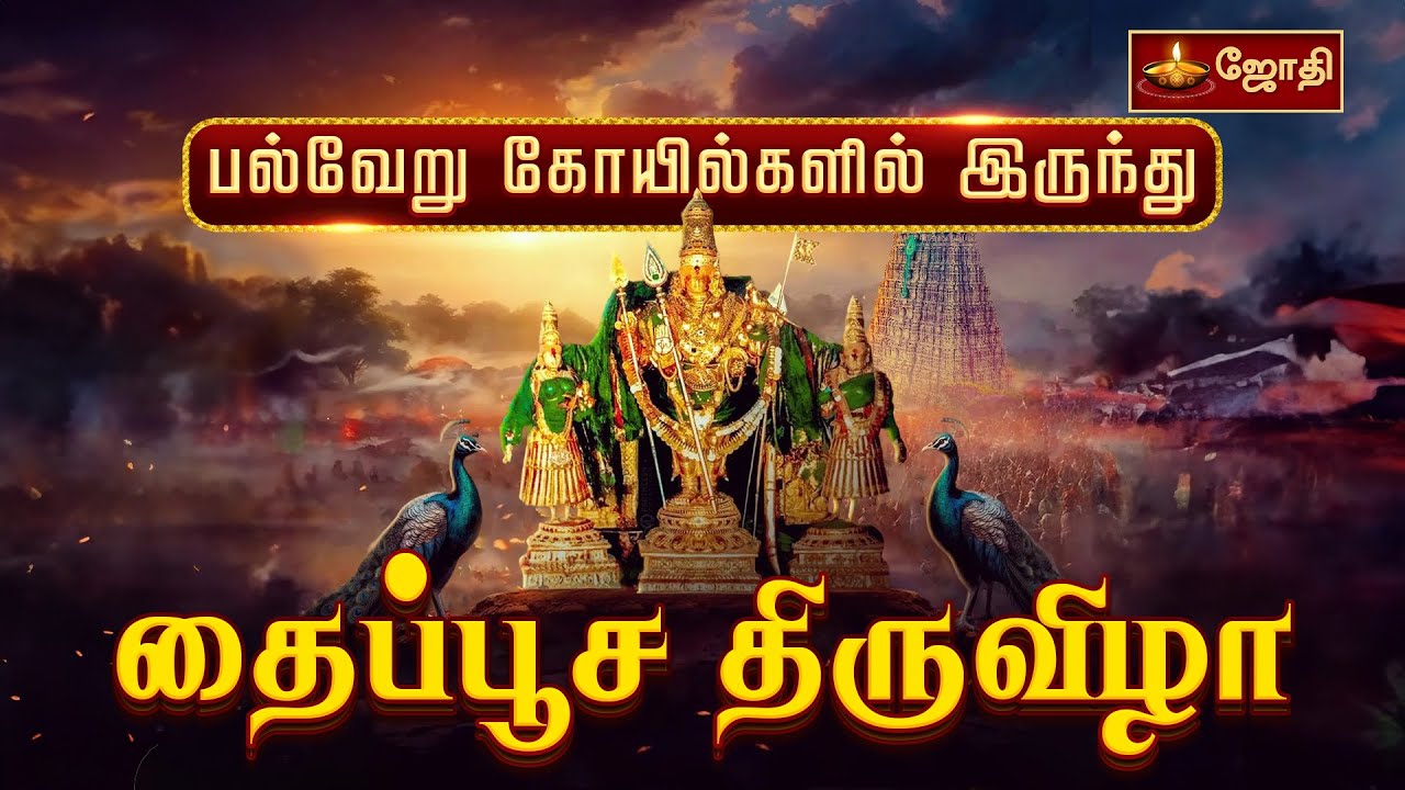 Thaipusam 2025 | தைப்பூச திருவிழா 2025 | பல்வேறு கோயில்களில் இருந்து நேரடி ஒளிபரப்பு | Jothitv