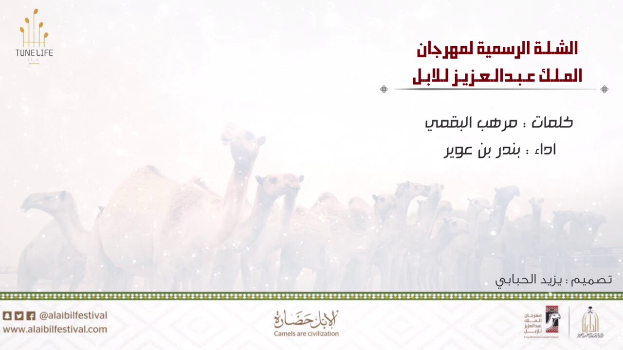 الشلة الرسمية لمهرجان الملك عبدالعزيز للابل || كلمات مرهب البقمي || اداء بندر بن عوير ( حصرياً )