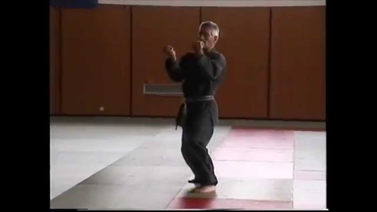 Chuong Quan Khi Dao - Hung Quyen Mot - Stage DTN 2000, Poitiers, France